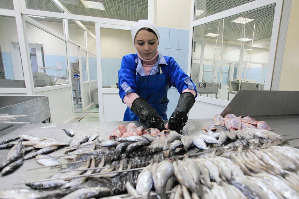 Автоматизация рыбных производств (автоматизация консервного производства)
